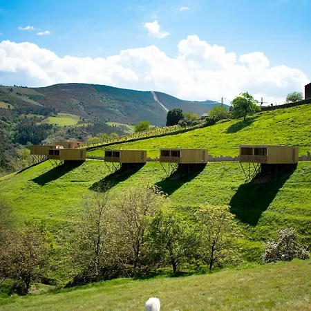 Do Navia Kamp alanı Coea